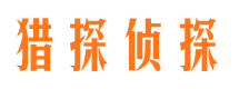 弋江市私家侦探